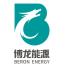 广东博龙能源科技有限公司