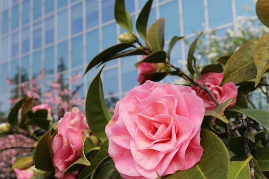 东电电子(上海)有限公司2016最新招聘信息_地