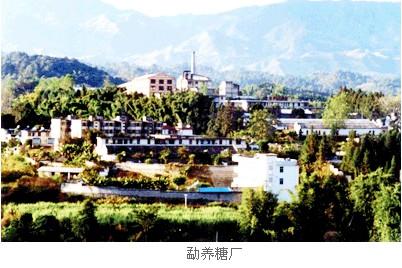 云南力量集团2016最新招聘信息_地址_电话-猎