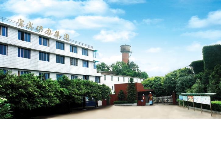 四川宜宾伊力集团有限公司2016最新招聘信息