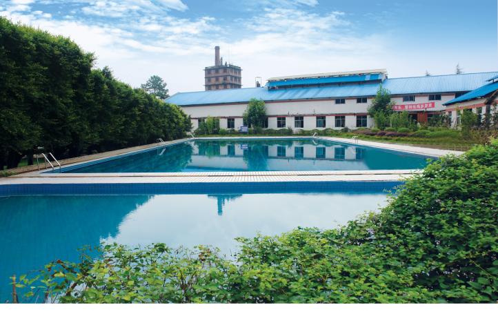 四川宜宾伊力集团有限公司2016最新招聘信息