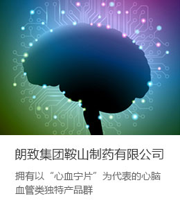 朗致集团有限公司 - 猎聘网招聘官网 - 走进朗致