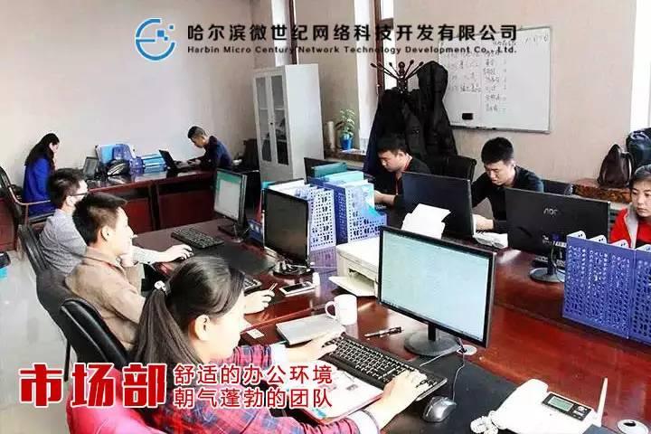 哈尔滨微世纪网络科技开发有限公司
