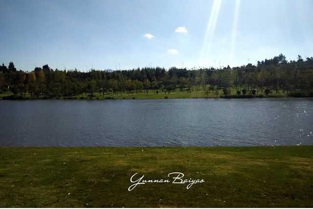 云南白药集团健康品事业部2016最新招聘信息