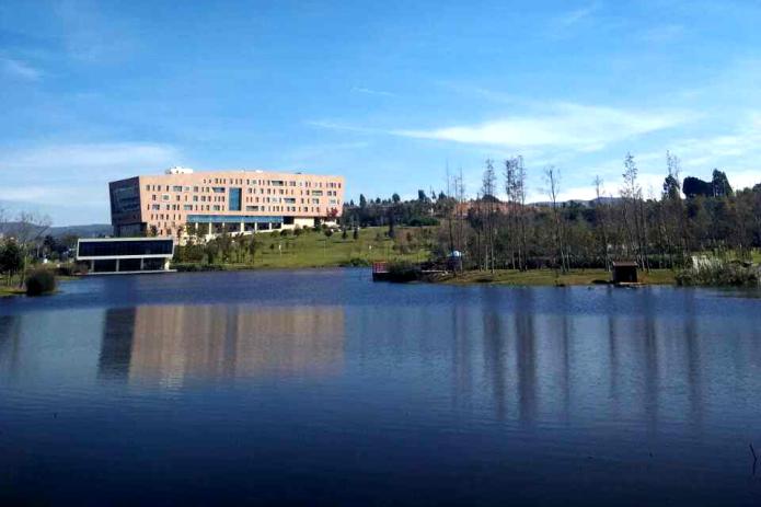 云南白药集团健康品事业部2016最新招聘信息