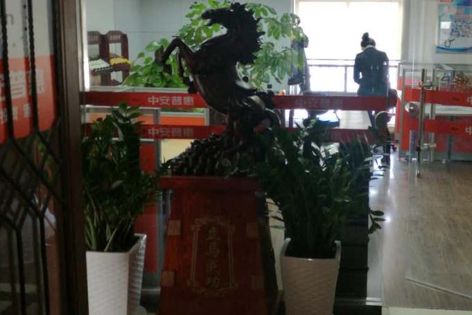 山东中安普惠金融控股集团有限公司