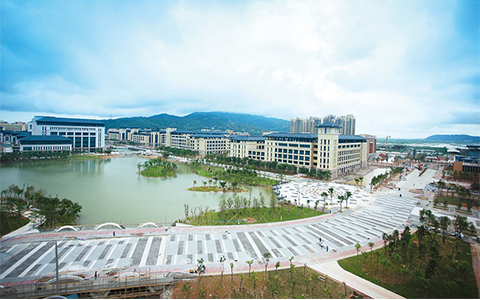 珠海市横琴新区管理委员会发展改革局 - 猎聘网