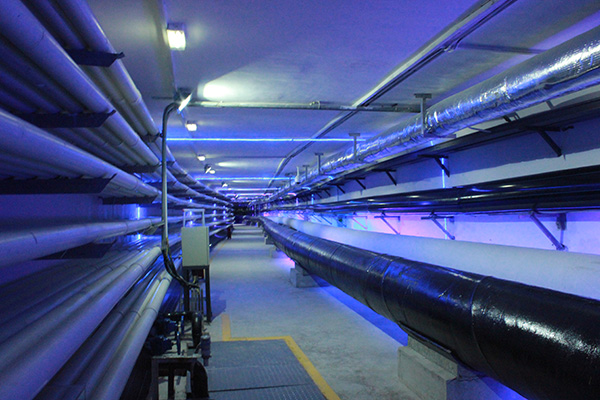 珠海市横琴新区管理委员会发展改革局 - 猎聘网