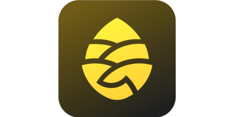 松果电单车 在招职位 587个 关注