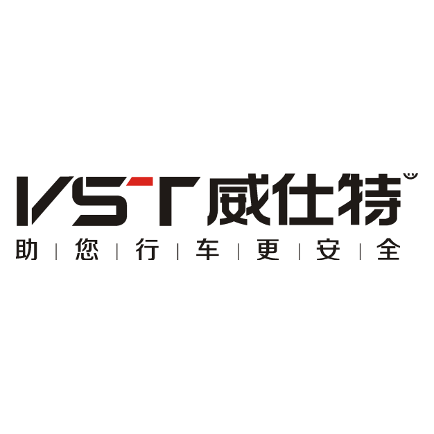威仕特标志,威仕特,特斯拉标志_大山谷图库