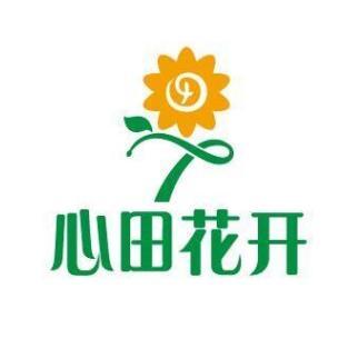 心田花开