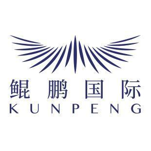 万里鲲鹏(北京)国际商务咨询有限公司