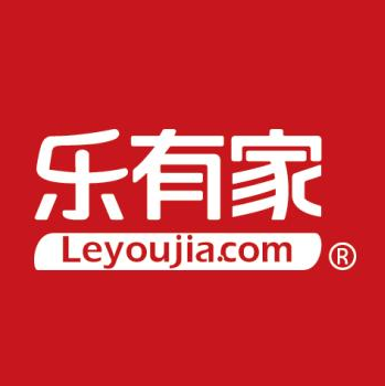 深圳市乐有家控股集团有限公司