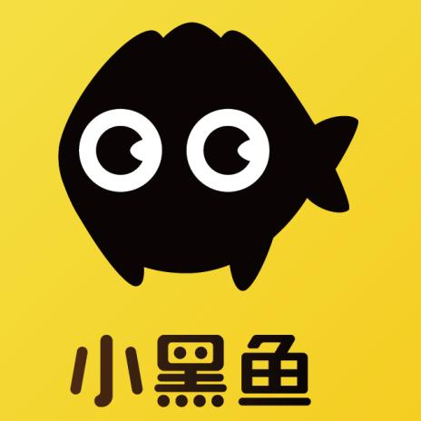 小黑鱼科技有限公司