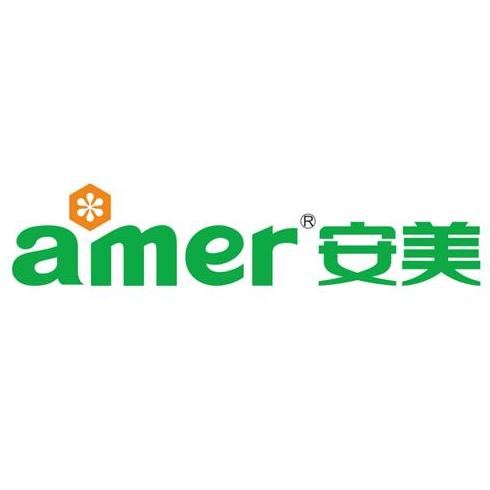 安美科技股份