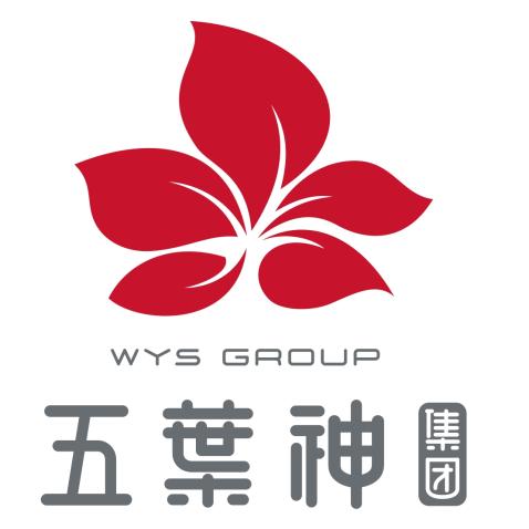 广东五叶神集团有限公司