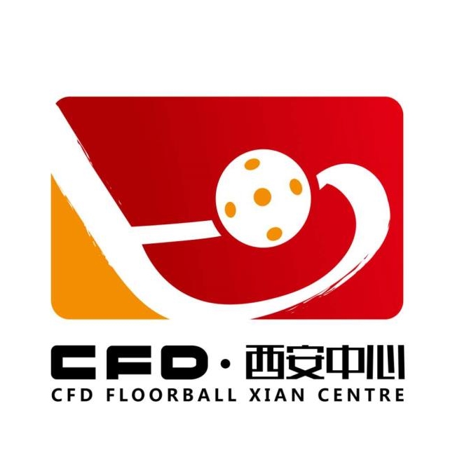 西安旱地冰球