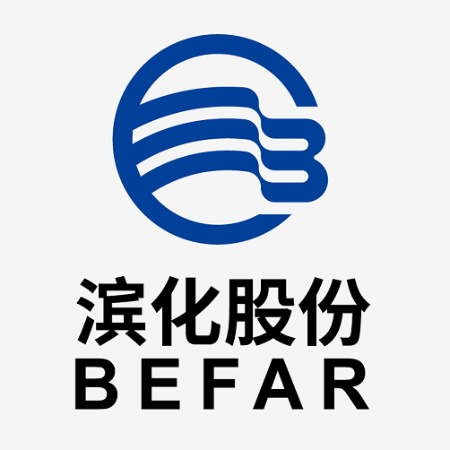 滨化集团股份有限公司