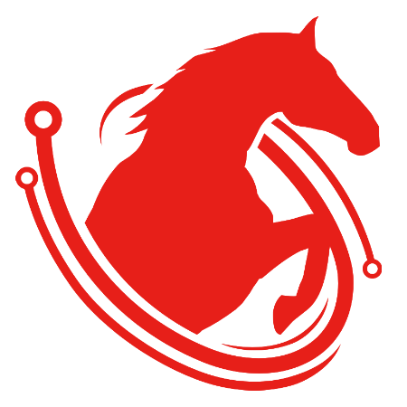 【浙江骐骥软件招聘】-猎聘