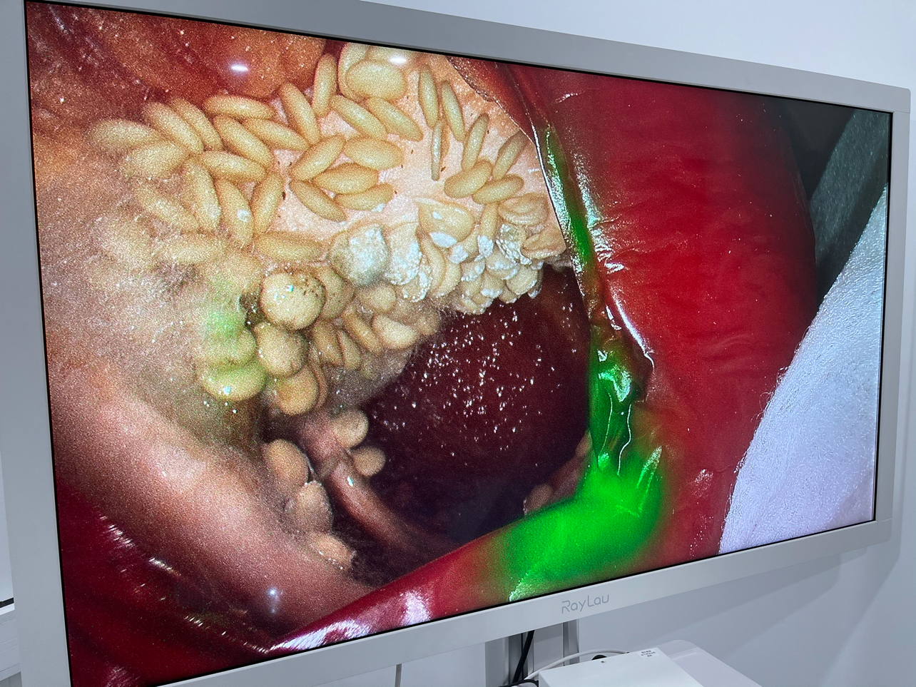 上海今海医疗科技有限公司