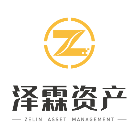 北京泽霖资产管理有限公司